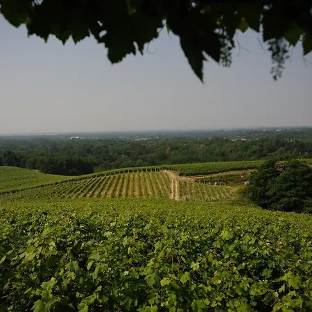 Cavalleri * Gattinara
